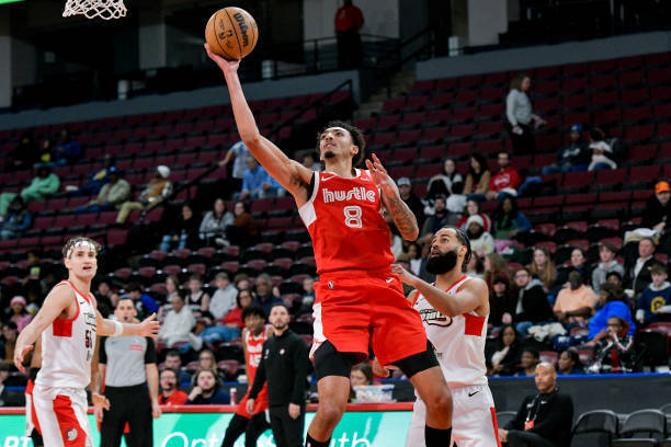 有办法得到, 代表灰熊的 有办法得到, 代表灰熊的