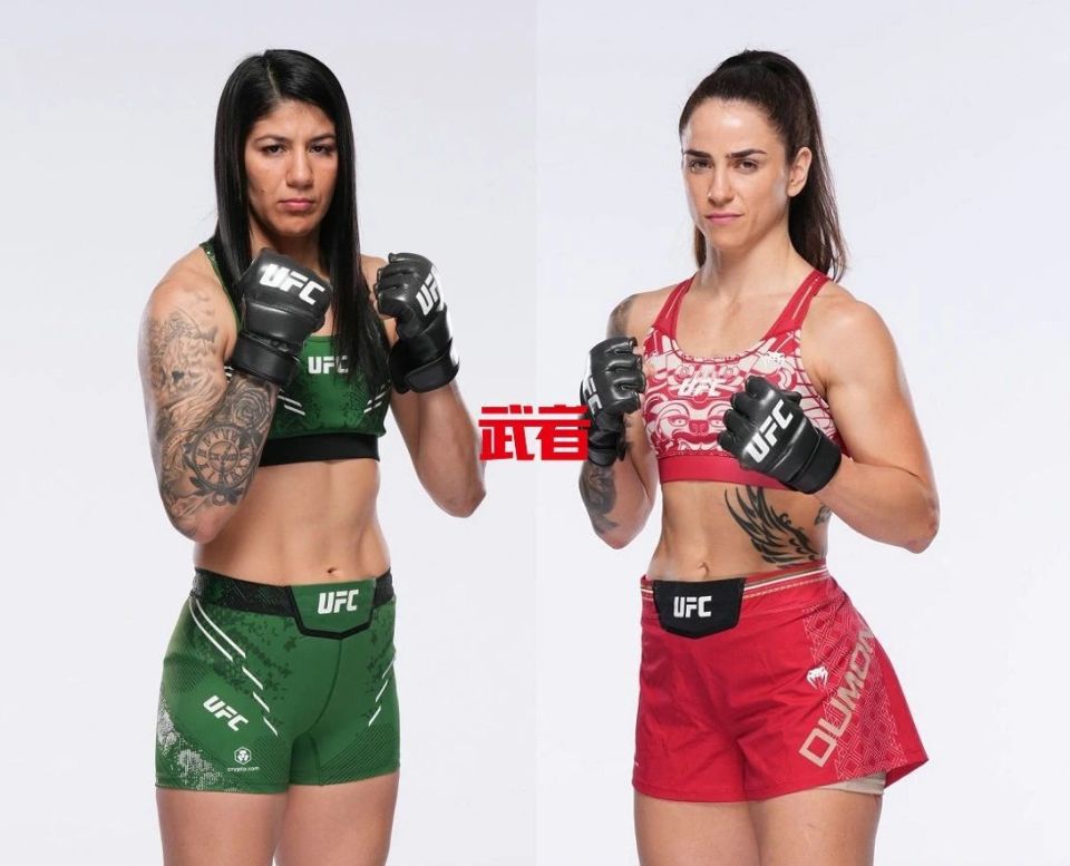 月点数战胜 月点数战胜