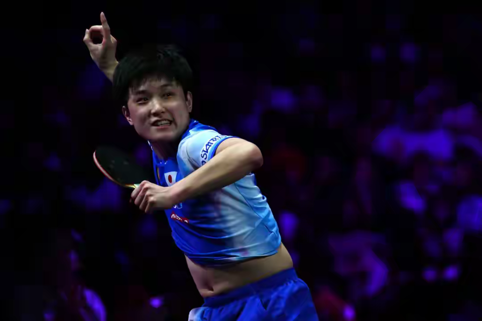 张本智和在, 可达 张本智和在, 可达