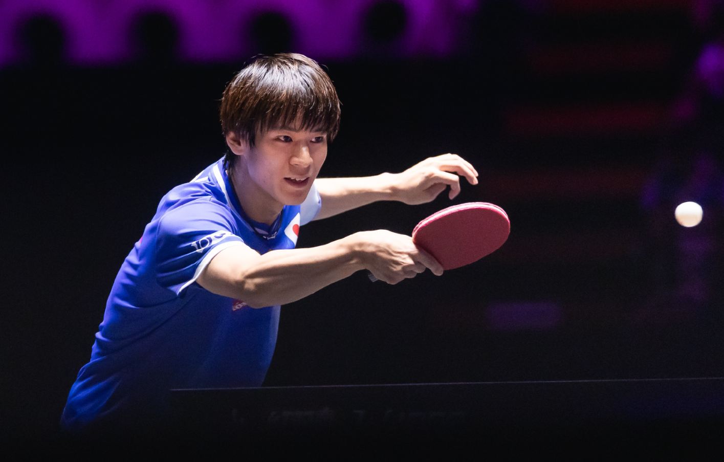 张本智和, 北京时间, net 张本智和, 北京时间, net