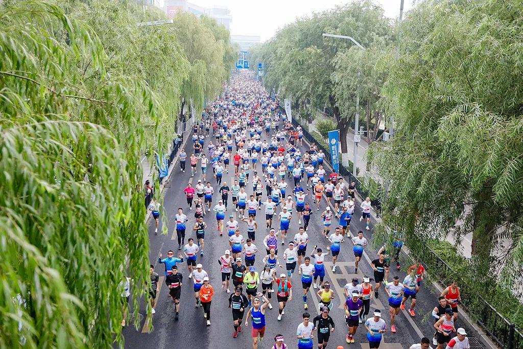 今年山东计, 自报名启动, 淄博老字号 今年山东计, 自报名启动, 淄博老字号