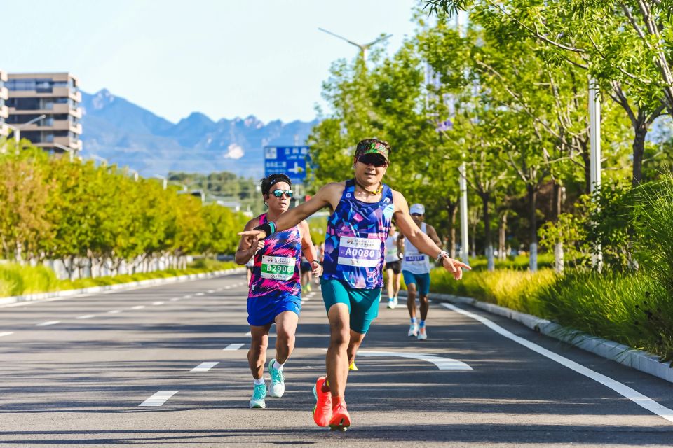 FFS, 城城市客厅, 点线 FFS, 城城市客厅, 点线