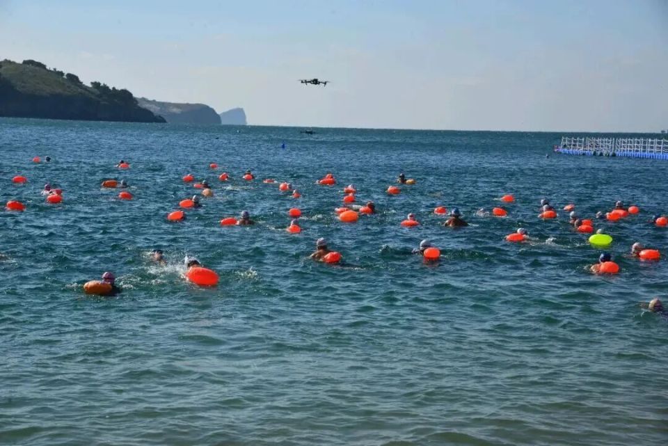 会早已贴心, 金色名片, mn 会早已贴心, 金色名片, mn