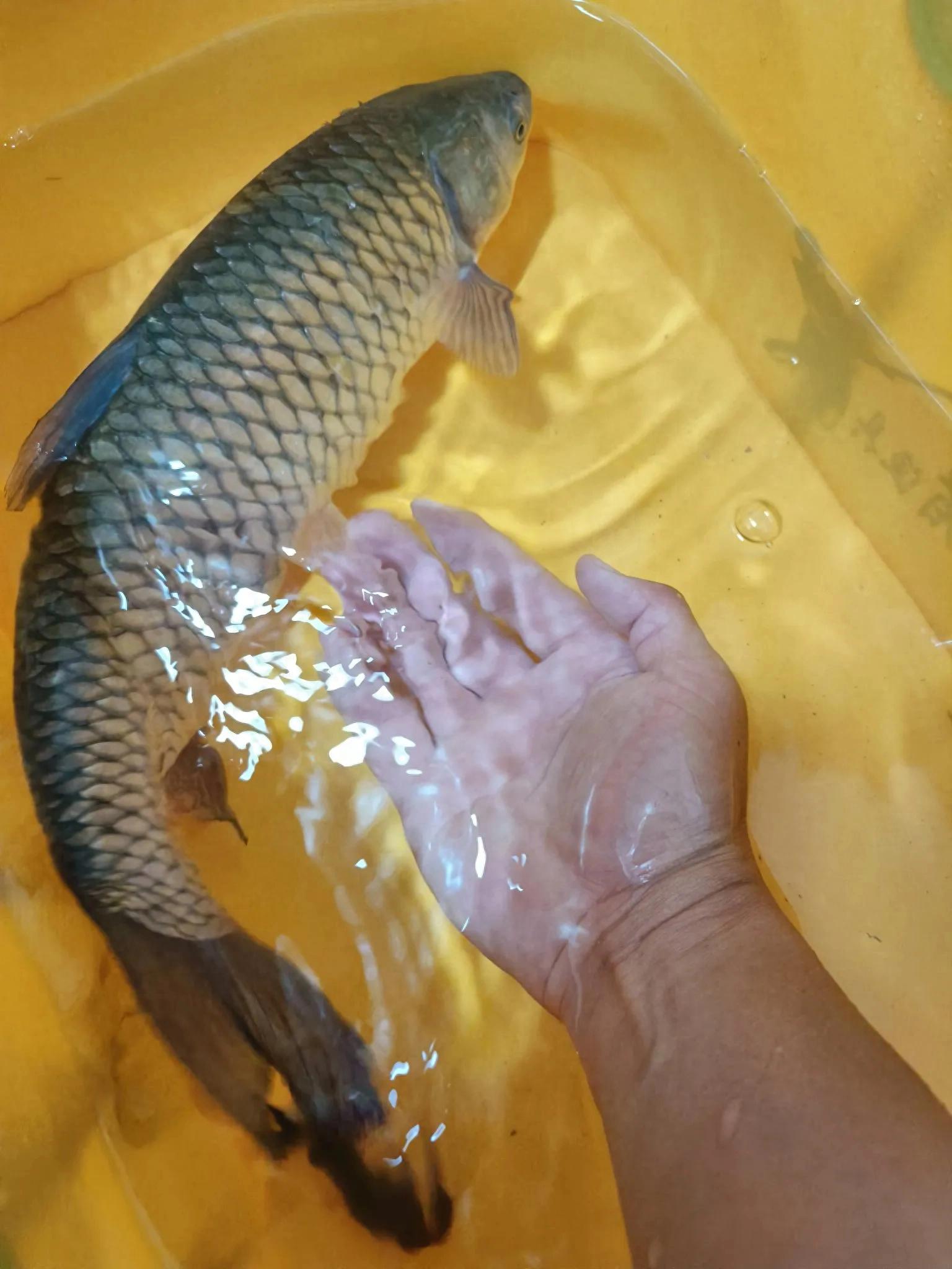 底层温度还, 讲究个天时